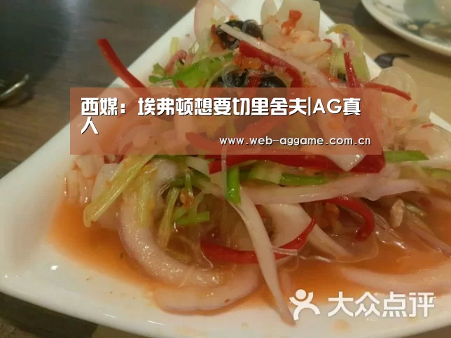 西媒:埃弗顿想要切里舍夫|AG真人(图2) AG真人