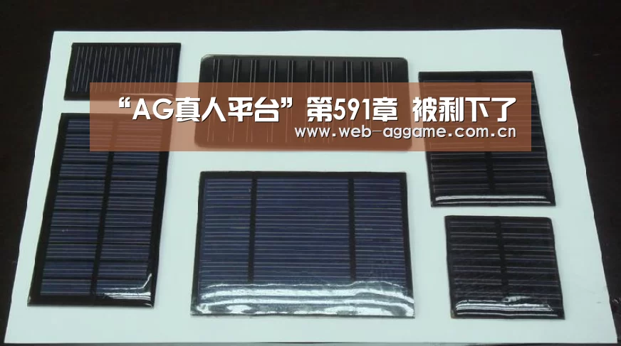 AG真人APP