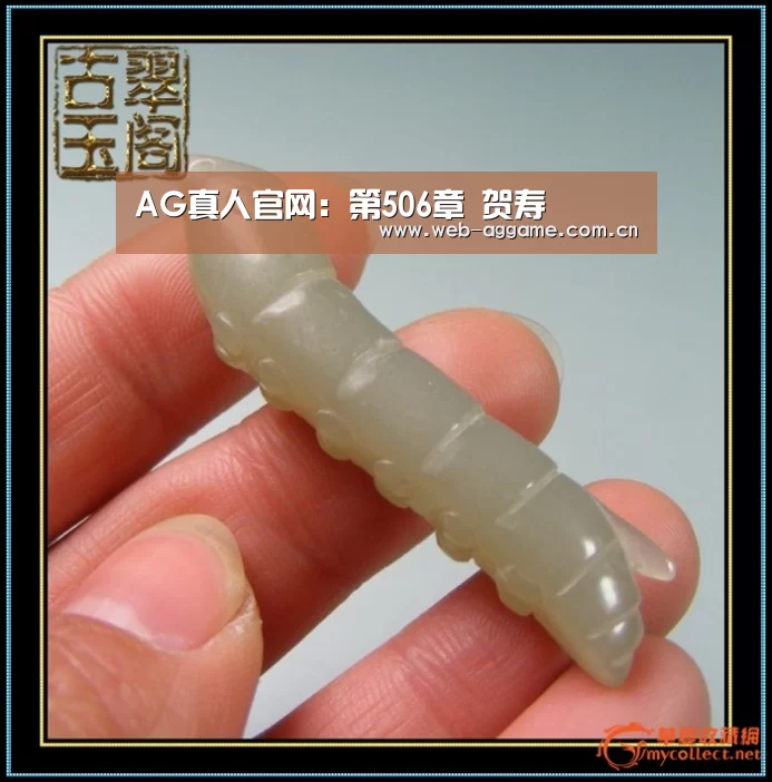 AG真人官网:第506章 贺寿(图1) AG真人平台